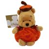 Disney Bean Bag Plush - PUMPKIN POOH (Winnie the Pooh) (8 inch) (Mint)