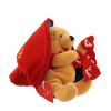 Disney Bean Bag Plush - VALENTINE'S DAY POOH (Winnie the Pooh) (8.5 inch) (Mint)