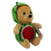 Disney Bean Bag Plush - WATERMELON POOH (Winnie the Pooh) (8 inch) (Mint)