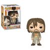 Funko POP! Vinyl Figure - Daryl Dixon (Prisoner) (Mint)