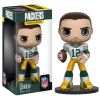 Funko Wacky Wobbler - NFL Series 1 - AARON RODGERS (Mint)