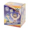 Funko Mystery Minis Vinyl Figure - WWE - Blind Pack (Mint)