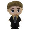 Funko Mystery Minis Vinyl Figure - Harry Potter S3 - CEDRIC DIGGORY (3 inch) (Mint)