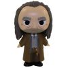 Funko Mystery Minis Vinyl Figure - Harry Potter S3 - ARGUS FILCH (3 inch) (Mint)