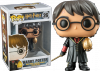 Funko POP! Vinyl Figure - Harry Potter (Tri Wizard with Golden Egg) (Mint)