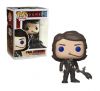 Funko POP! Vinyl Figure - Paul Atreides (Mint)