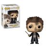 Funko POP! Vinyl Figure - Seamus Finnigan (Mint)