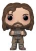 Funko POP! Vinyl Figure - Sirius Black (Prisoner) (Mint)