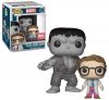 Funko POP! Vinyl Figure - The Hulk and Bruce Banner (Mint)