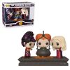 Funko POP! Vinyl Figure - The Sanderson Sisters (with Cauldron) (Mint)