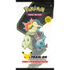 Pokemon Cards - JOHTO FIRST PARTNER PACK (2 Booster Packs & 3 JUMBO Oversize Cards) (New)