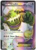 Pokemon Card - Dark Explorers 108/108 - TORNADUS EX (full art holo-foil)