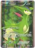 Pokemon Card - Noble Victories 97/101 - VIRIZION (holo-foil)