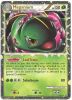 Pokemon Card Promo #HGSS08 - MEGANIUM (holo-foil)