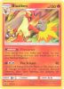 Pokemon Card - Dragon Majesty 6/70 - BLAZIKEN (holo-foil) (Mint)