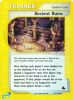 Pokemon Card - Skyridge 119/144 - ANCIENT RUINS (reverse holo) (Mint)