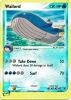 Pokemon Card - Ruby & Sapphire 14/109 - WAILORD (REVERSE holo-foil) (Mint)