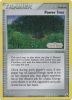 Pokemon Card - Legend Maker 76/92 - POWER TREE (reverse holo) (Mint)