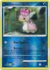 Pokemon Card - D&P: Secret Wonders 107/132 - SHELLOS WEST SEA (reverse holo) (Mint)