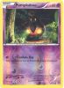 Pokemon Card - XY 56/146 - PUMPKABOO (REVERSE holo) (Mint)