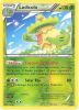 Pokemon Card - XY: Primal Clash 12/160 - LUDICOLO (reverse holo) (Mint)