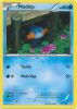 Pokemon Card - XY: Primal Clash 33/160 - MUDKIP (common) (Mint)