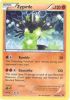 Pokemon Card - XY: Fates Collide 53/124 - ZYGARDE (shattered holo-foil promo) (Mint)