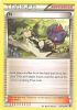 Pokemon Card - XY: Fates Collide 105/124 - N (uncommon) (Mint)