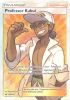 Pokemon Card - Sun & Moon 148/149 - PROFESSOR KUKUI (full art holo-foil)