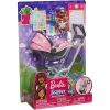 Mattel - Barbie Doll Set - Skipper Babysitters Inc - BABY DOLL & PINK/BLUE STROLLER (FXG95) (Mint)