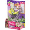 Mattel - Barbie Doll Set - Skipper Babysitters Inc - BABY DOLL & YELLOW/PINK STROLLER (GFC18) (Mint)