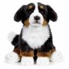 Webkinz Virtual Pet Plush - Signature - BERNESE MOUNTAIN DOG (11 inch) (Mint - Unused Code)