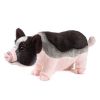 Webkinz Virtual Pet Plush - Signature - POT BELLIED PIG (12 inch) (Mint - Unused Code)