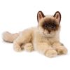 Webkinz Virtual Pet Plush - Signature - RAGDOLL CAT (17 inch) (Mint - Unused Code)