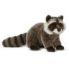 Webkinz Virtual Pet Plush - Signature - WOODLAND RACCOON (12 inch) (Mint - Unused Code)