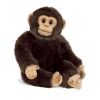 Webkinz Virtual Pet Plush - Small Signature - CHIMPANZEE (8.5 inch) (Mint - Unused Code)