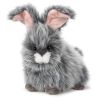 Webkinz Virtual Pet Plush - ANGORA BUNNY (8 inch) (Mint - Unused Code)