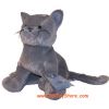 Webkinz Virtual Pet Plush - CHARCOAL CAT (8.5 inch) (Mint - Unused Code)
