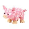 Webkinz Virtual Pet Plush - DAISY PIG (8 inch) (Mint - Unused Code)