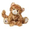 Webkinz Virtual Pet Plush - GINGER CAT (7.5 inch) (Mint - Unused Code)