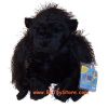 Webkinz Virtual Pet Plush - GORILLA (7.5 inch) (Mint - Unused Code)