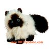 Webkinz Virtual Pet Plush - HIMALAYAN CAT (Mint - Unused Code)