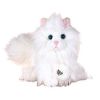 Webkinz Virtual Pet Plush - PERSIAN CAT (7 inch) (Mint - Unused Code)