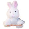 Webkinz Virtual Pet Plush - RABBIT (6 inch) (Mint - Unused Code)