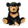 Webkinz Virtual Pet Plush - SUN BEAR (8 inch) (Mint - Unused Code)