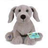 Webkinz Virtual Pet Plush - WEIMARANER (9 inch) (Mint - Unused Code)