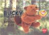 TY Beanie Babies BBOC Card - Series 1 Birthday (SILVER) - BUCKY the Beaver (Mint)