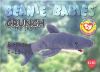 TY Beanie Babies BBOC Card - Series 1 Birthday (SILVER) - CRUNCH the Shark (Mint)