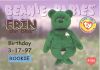 TY Beanie Babies BBOC Card - Series 1 Birthday (RED) - ERIN the Bear (Rookie) (Mint)