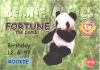 TY Beanie Babies BBOC Card - Series 1 Birthday (RED) - FORTUNE the Panda (Rookie) (Mint)